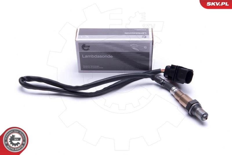 Oxygen Sensor
